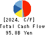 NOK CORPORATION Cash Flow Statement 2024年3月期