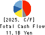 HOSOKAWA MICRON CORPORATION Cash Flow Statement 2025年9月期