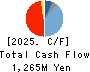 KATSURAGAWA ELECTRIC CO.,LTD. Cash Flow Statement 2025年3月期