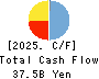 TOYO ENGINEERING CORPORATION Cash Flow Statement 2025年Mar期 TOYO ENGINEERING CORPORATION Cash Flow Statement 2025年3月期