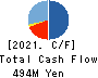Caster Co.Ltd. Cash Flow Statement 2021年8月期