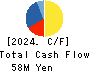 RISE Inc. Cash Flow Statement 2024年3月期