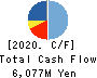 The Global Ltd. Cash Flow Statement 2020年6月期