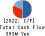 CAPITA Inc. Cash Flow Statement 2022年3月期