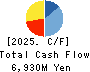 Wealth Management, Inc. Cash Flow Statement 2025年3月期