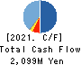 NAIGAI CO.,LTD. Cash Flow Statement 2021年1月期