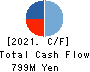 Daikokuya Holdings Co.,Ltd. Cash Flow Statement 2021年3月期