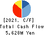 Naikai Zosen Corporation Cash Flow Statement 2021年3月期