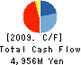 Daiki Ataka Engineering Co.,Ltd. Cash Flow Statement 2009年3月期
