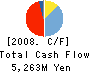 C&I Holdings Co., Ltd. Cash Flow Statement 2008年12月期