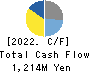 AICHI ELECTRIC CO.,LTD. Cash Flow Statement 2022年3月期