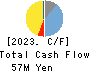 TeamSpirit Inc. Cash Flow Statement 2023年8月期
