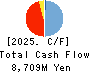 Remixpoint, inc. Cash Flow Statement 2025年Mar期 Remixpoint, inc. Cash Flow Statement 2025年3月期