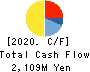 IKUYO CO.,LTD. Cash Flow Statement 2020年3月期