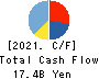 TSUKISHIMA HOLDINGS CO., LTD. Cash Flow Statement 2021年3月期