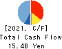 ARIAKE JAPAN Co.,Ltd. Cash Flow Statement 2021年3月期