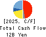 ASAHI YUKIZAI CORPORATION Cash Flow Statement 2025年Mar期 ASAHI YUKIZAI CORPORATION Cash Flow Statement 2025年3月期