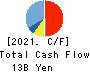 FUSO CHEMICAL CO.,LTD. Cash Flow Statement 2021年3月期