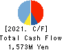GreenEnergy & Company Inc. Cash Flow Statement 2021年4月期