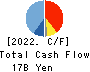 DESCENTE,LTD. Cash Flow Statement 2022年3月期