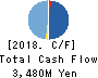 RAKSUL INC. Cash Flow Statement 2018年7月期