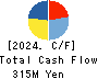 Kokopelli Inc. Cash Flow Statement 2024年3月期