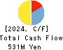 SEIHYO CO.,LTD. Cash Flow Statement 2024年Feb期 SEIHYO CO.,LTD. Cash Flow Statement 2024年2月期