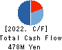 FCE Inc. Cash Flow Statement 2022年9月期