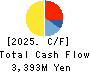 Daiseki Eco. Solution Co.,Ltd. Cash Flow Statement 2025年Feb期 Daiseki Eco. Solution Co.,Ltd. Cash Flow Statement 2025年2月期