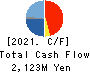 RYODEN CORPORATION Cash Flow Statement 2021年Mar期 RYODEN CORPORATION Cash Flow Statement 2021年3月期