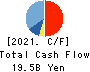 TRE HOLDINGS CORPORATION Cash Flow Statement 2021年Mar期 TRE HOLDINGS CORPORATION Cash Flow Statement 2021年3月期