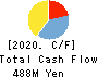 RISE Inc. Cash Flow Statement 2020年Mar期 RISE Inc. Cash Flow Statement 2020年3月期