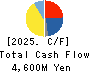 YASUNAGA CORPORATION Cash Flow Statement 2025年3月期