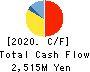 DAI-ICHI CUTTER KOGYO K.K. Cash Flow Statement 2020年6月期