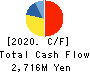 Cybernet Systems Co.,Ltd. Cash Flow Statement 2020年12月期