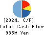 Innovation Inc. Cash Flow Statement 2024年3月期