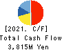 Honshu Chemical Industry Co.,Ltd. Cash Flow Statement 2021年3月期