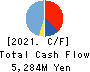 SHIBAURA ELECTRONICS CO.,LTD. Cash Flow Statement 2021年3月期