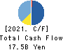 TESS Holdings Co.,Ltd. Cash Flow Statement 2021年Jun期 TESS Holdings Co.,Ltd. Cash Flow Statement 2021年6月期