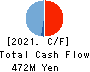 Writeup Co.,Ltd. Cash Flow Statement 2021年Mar期 Writeup Co.,Ltd. Cash Flow Statement 2021年3月期