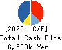 Ichiyoshi Securities Co.,Ltd. Cash Flow Statement 2020年3月期