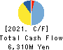 Gamecard-Joyco Holdings,Inc. Cash Flow Statement 2021年3月期