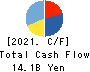 TAIHO KOGYO CO.,LTD. Cash Flow Statement 2021年3月期