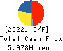 Toyo Gosei Co.,Ltd. Cash Flow Statement 2022年3月期