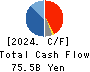Yokogawa Electric Corporation Cash Flow Statement 2024年3月期