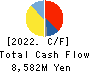 TOWA CORPORATION Cash Flow Statement 2022年3月期