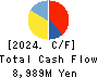 HURXLEY CORPORATION Cash Flow Statement 2024年Mar期 HURXLEY CORPORATION Cash Flow Statement 2024年3月期