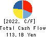 Daio Paper Corporation Cash Flow Statement 2022年3月期