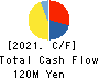 Nextware Ltd. Cash Flow Statement 2021年3月期