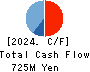 Data Applications Company, Limited Cash Flow Statement 2024年3月期